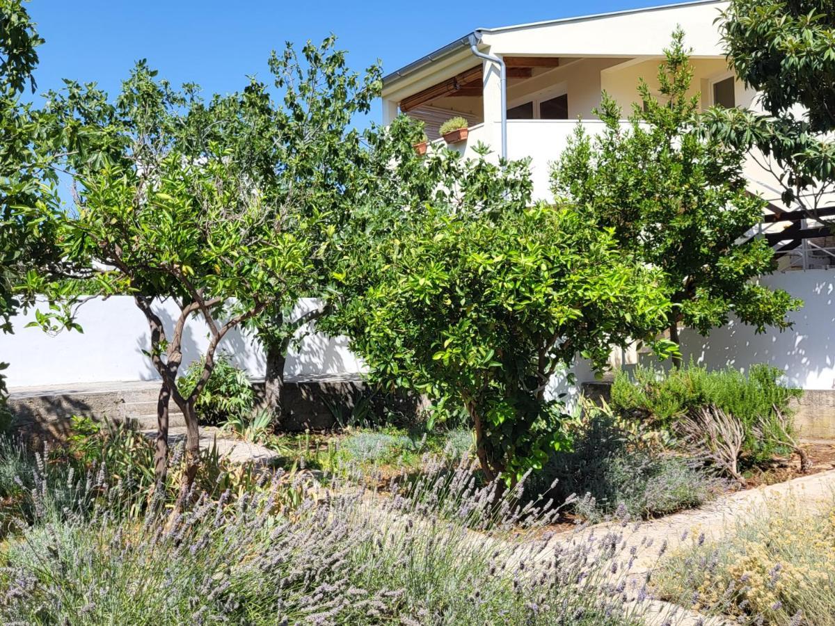 Lavender Garden House Rogoznica (Sibenik-Knin) Exterior foto